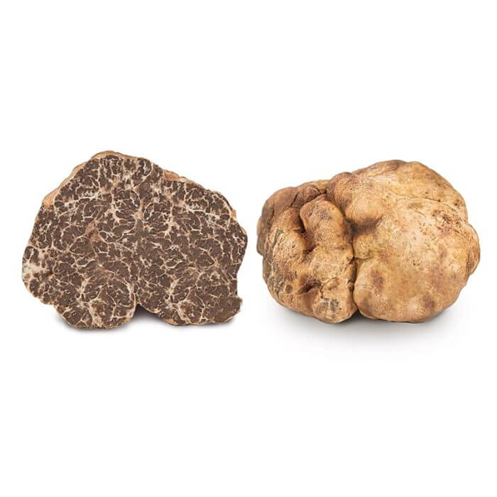 Beli tartuf - Tuber Borchii